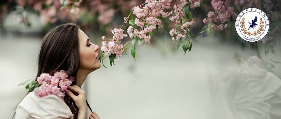 你的鼻子VS芳疗师的鼻子：差在哪？解锁高“嗅商”背后的密码