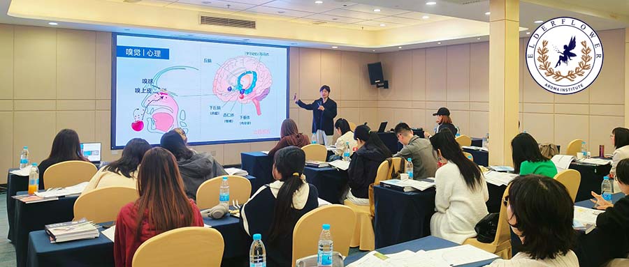 IFA国际芳疗师 │ 广州线下面授课圆满结束！