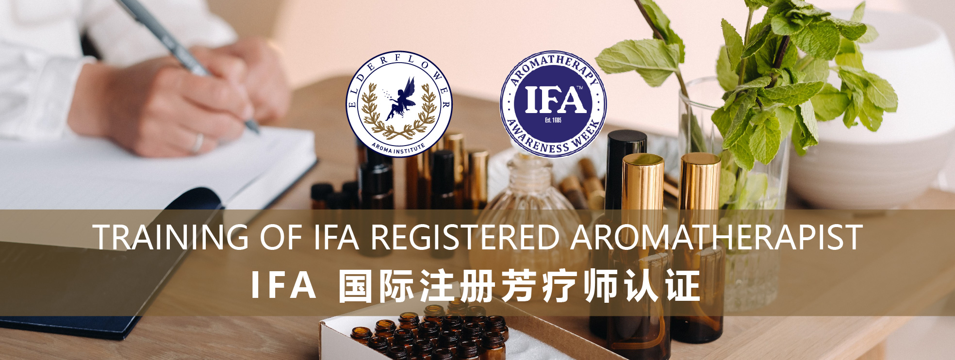 爱芙悦2024 IFA国际芳疗师认证课程丨招生简章