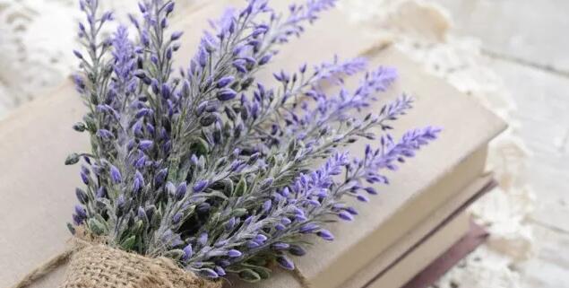 精油常识│你知道你手里的精油从哪里来吗？