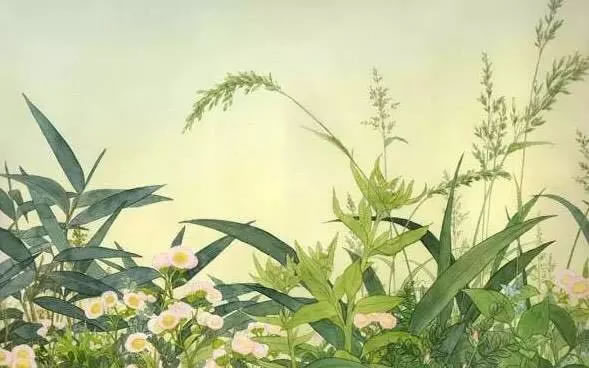 秋天的味道│这个秋天，用精油为生活加点料