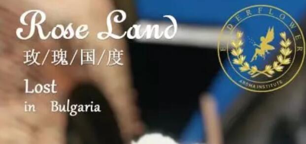 保加利亚芳香游学即将起航|邀您共赏旅途风景
